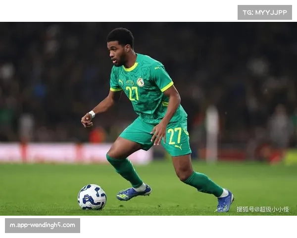 非洲杯八强战即将打响 四分之一决赛对决出炉